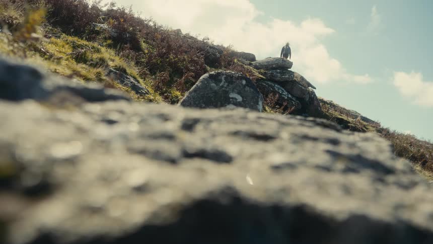 Person climbs rocks on a sunlit slope