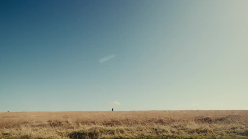 A person silhouetted against the sky walks across a field
