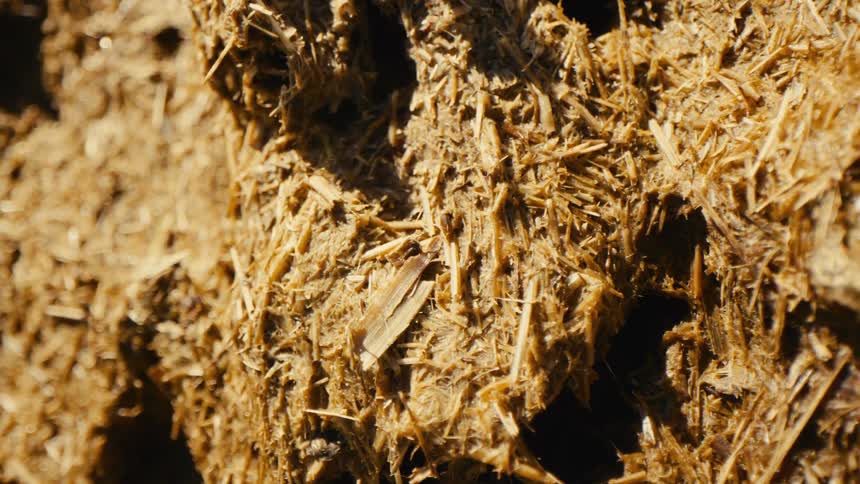 A detailed closeup shot reveals the rough fibrous texture of dried mud mixed with straw