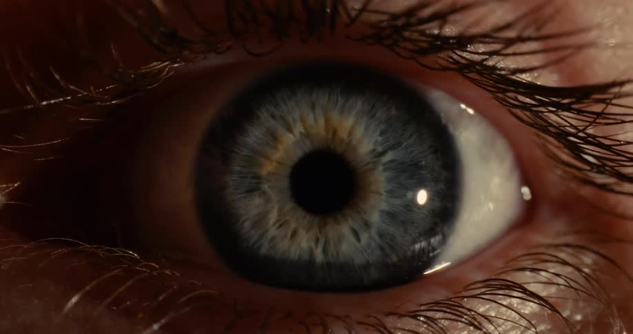 Blue eye of a person