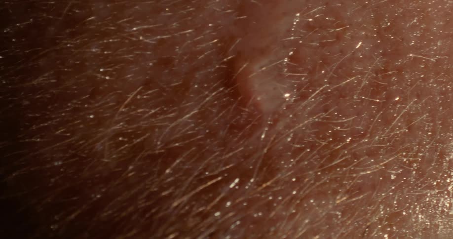 Close up of a sweat drop falling down a persons forehead