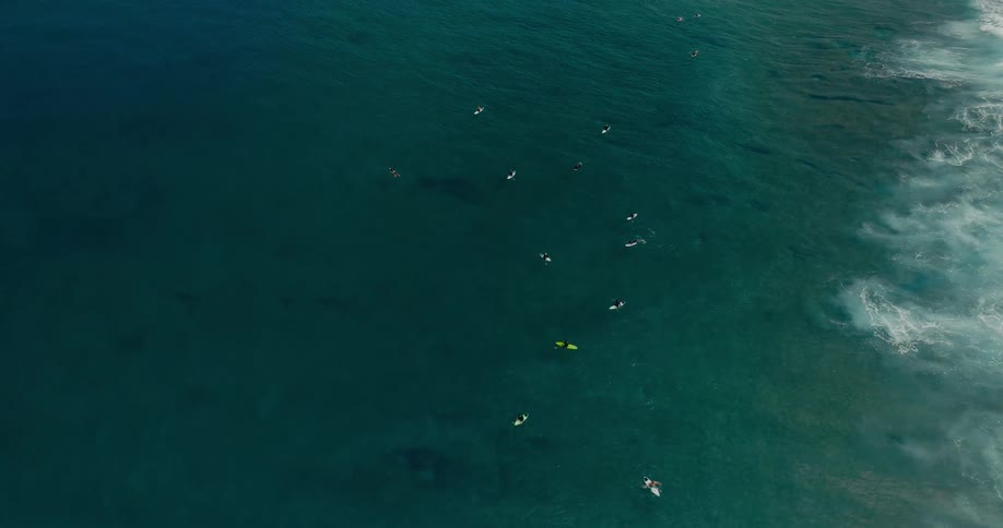 Crowd of surfers staying on surfboards in the middle of the ocean outdoors during day time