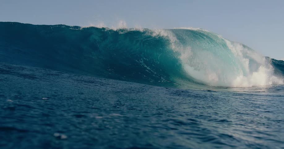 A strong wave forming in the ocean on a sunny day