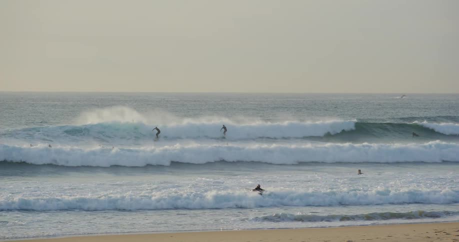 The birds fly over the surfers on the beach