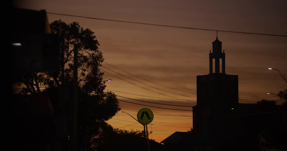 A tree in a neighborhood next to a building with power lines overhead in the evening