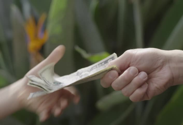 Hands exchanging banknotes in front of tropical plants