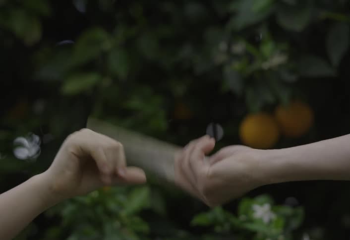 Hands exchanging banknotes in an area with vegetation in the background
