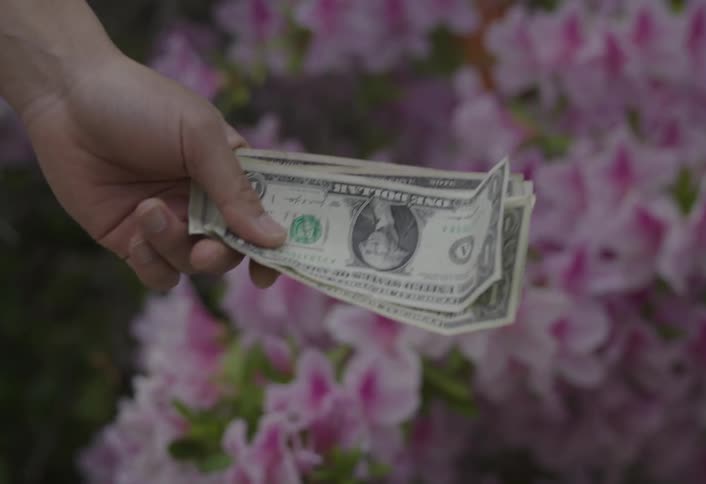 Flowers move in the breeze as an adult hand holds dollar bills and a childs hand takes the money