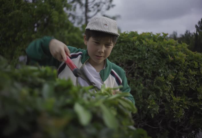 The video shows a young boy emerging from behind a large green bush outdoors on a cloudy day wearing a striped cap and a green and white jacket he is actively using large redhandled shears to trim the leaves and branches of the dense foliage in front o