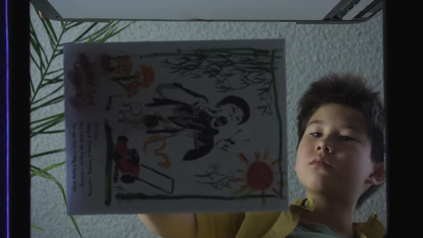 A young boy copies an illustrated paper using a photocopier machine