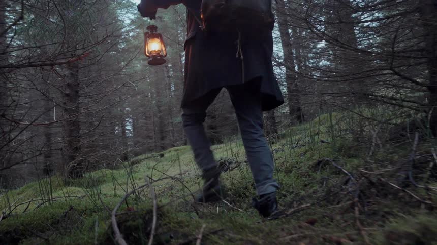 A person walking in a forest with a lantern
