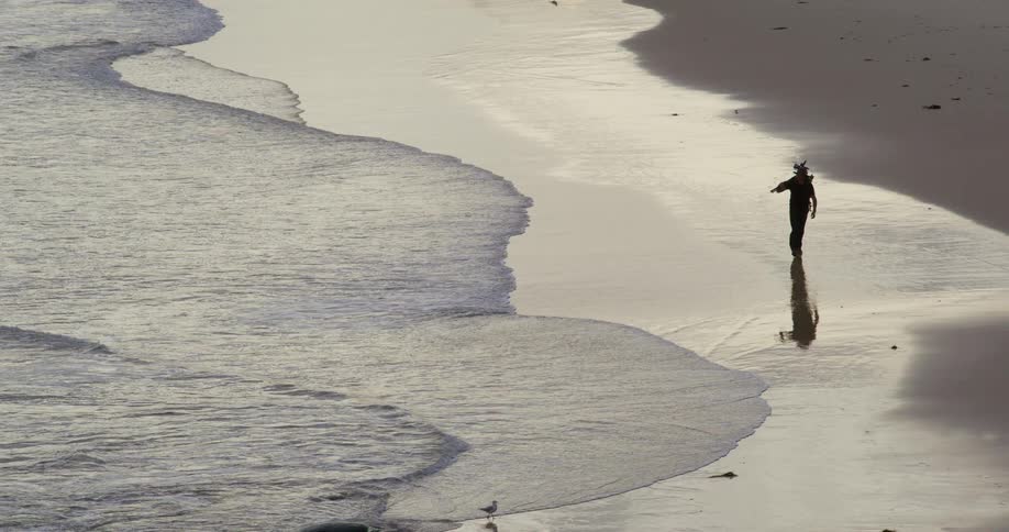 Person walking along the wet shoreline