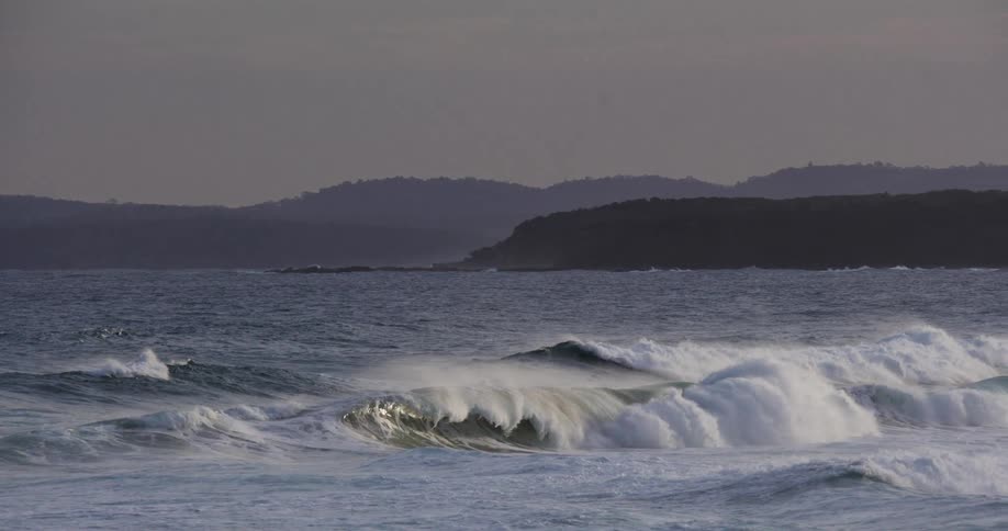 A massive ocean wave curls and crashes against a dark forested coastal headland
