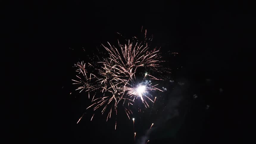 Fireworks bursting in the night sky