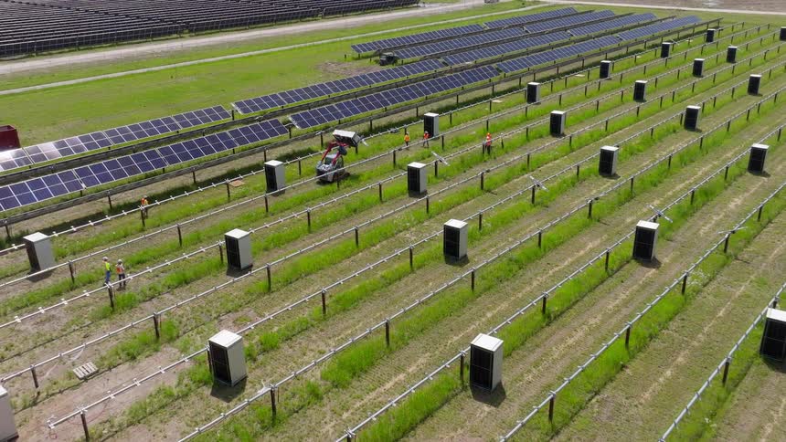 Solar farm workers move past solar panels while a machine transports an electric box