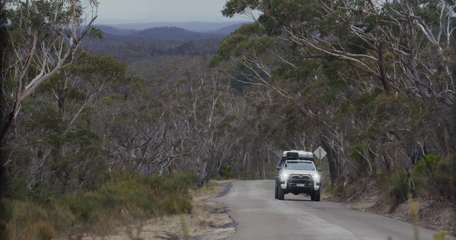 Truck traveling on a forested mountain road