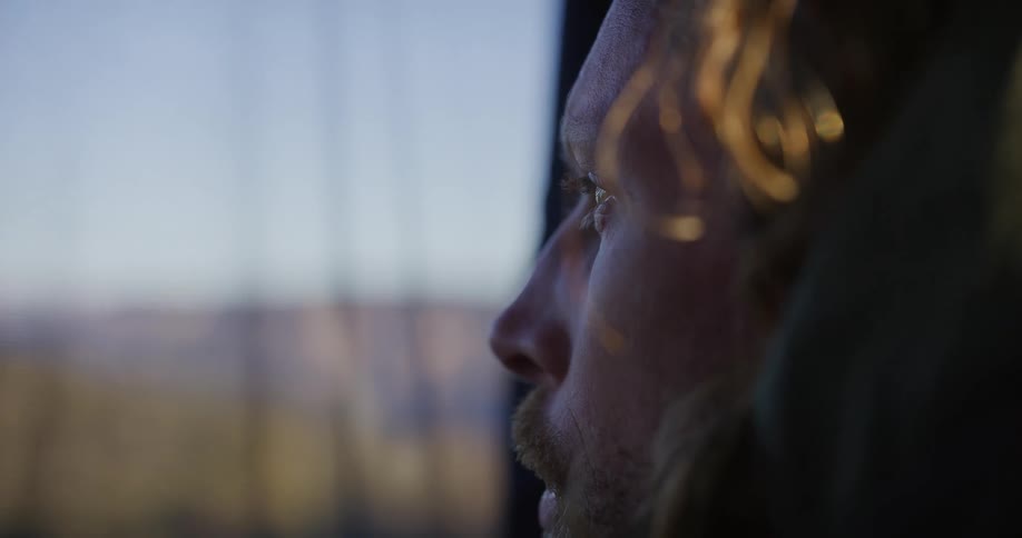 A closeup profile shows a bearded man gazing out at a blurred landscape