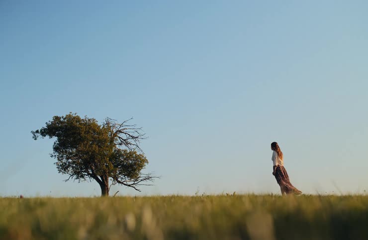 A woman in a flowing dress stands in a grassy field near a lone tree under a clear blue sky