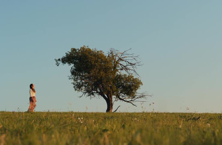 A woman walks through a grassy meadow towards a solitary tree under a clear sky