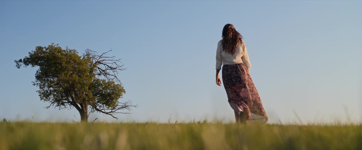 A woman wearing a skirt is walking across a grassy field towards a lone tree