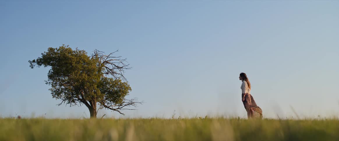 Person stands in grassy field beside partially dry tree under clear blue sky