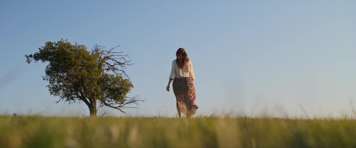 Woman walking in an open field beside a lone tree under a blue sky