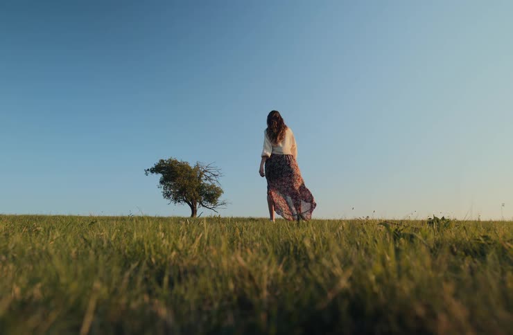 Woman walks across grassy field toward tree under blue sky at dusk