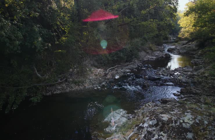 Sunlight creates a lens flare over a rocky stream flowing through a dense forest
