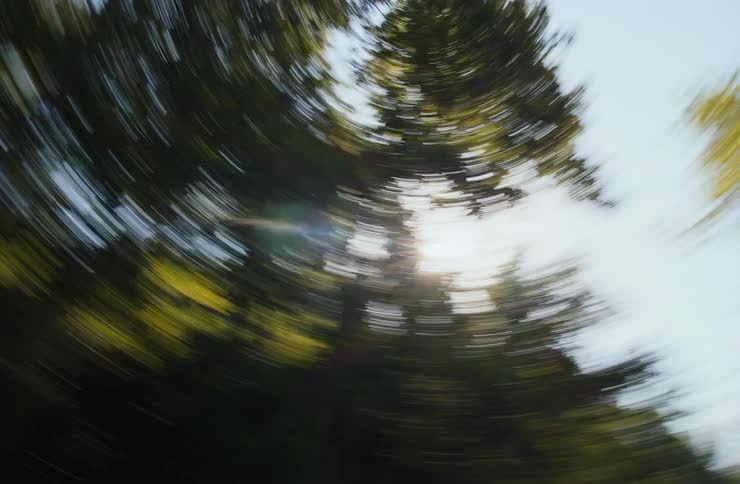 Blurred trees in motion with sunlight at the center