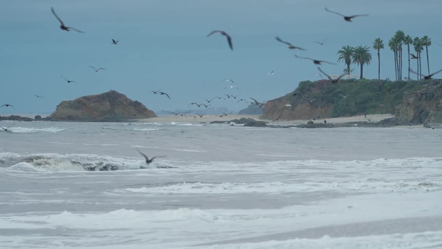 A view of some birds flying over the coast