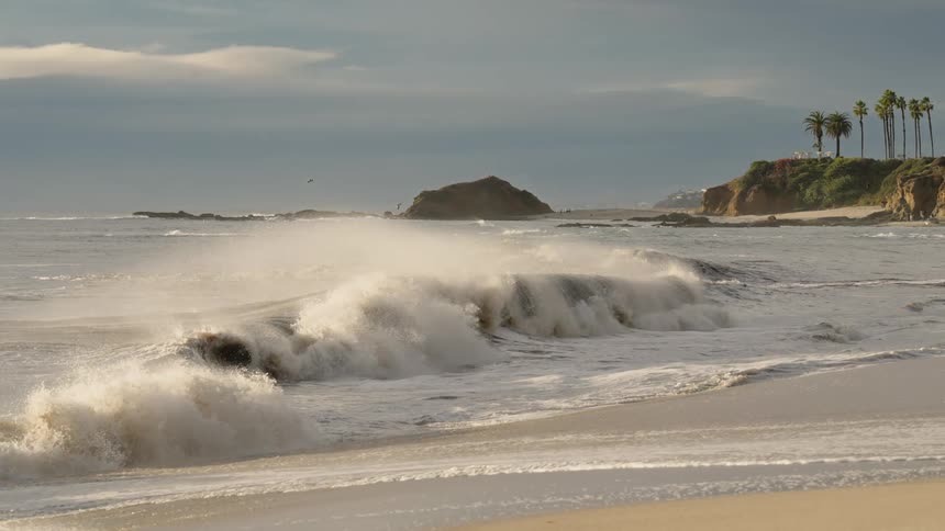 Waves splash and curl as they roll in to shore and over the beach as seagulls fly over the water with palm trees on the coast