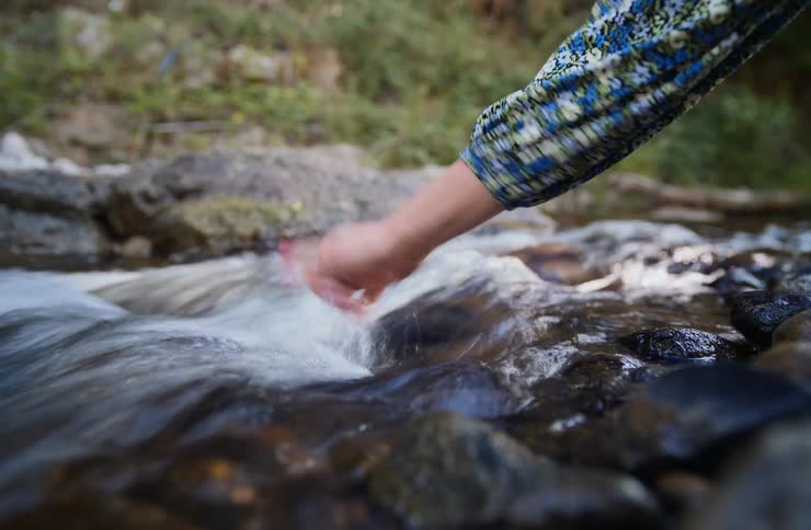 Hand touches stream current surrounded by rocks and vegetation under soft natural light