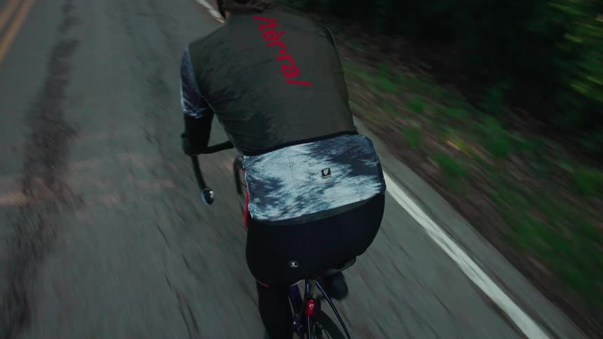 Cyclist riding on a treelined road seen from behind