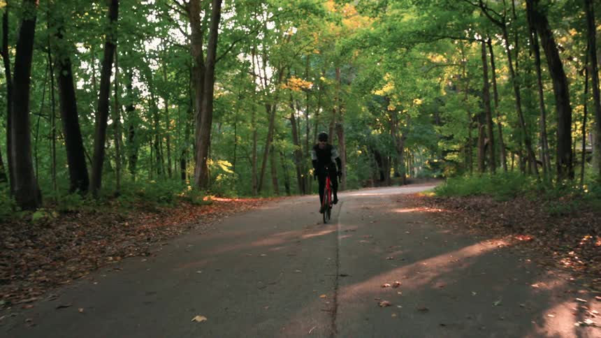 Cyclist riding on a treelined road