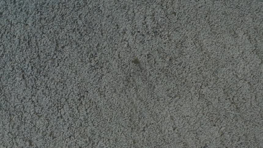 Gray surface displays granular texture with slight central imperfection