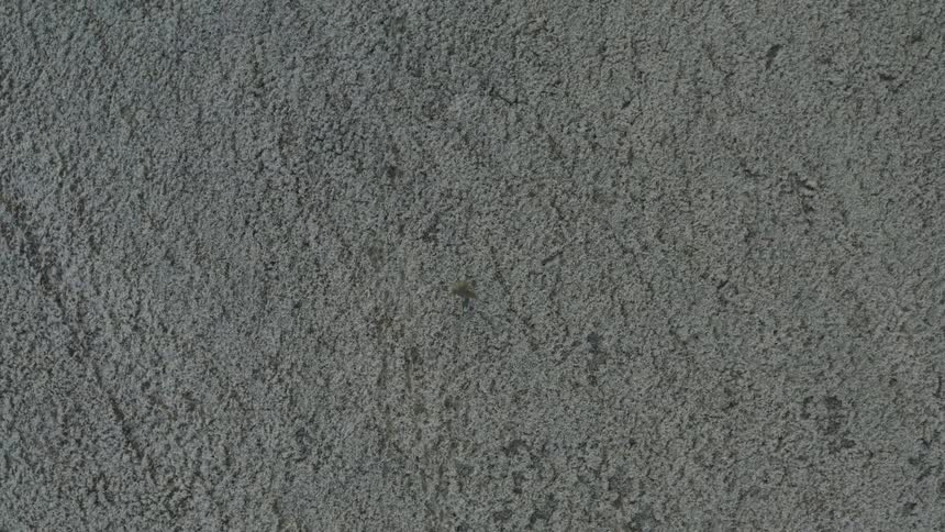A top down aerial view of a person walking through a gray landscape
