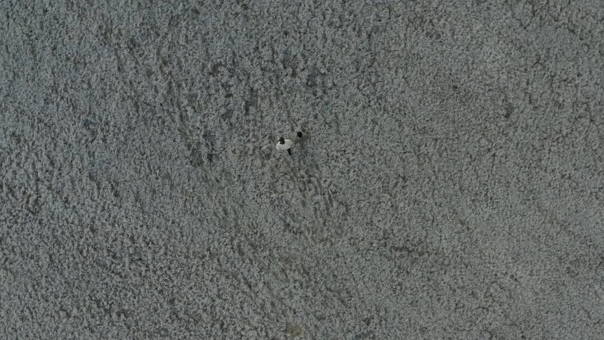 The video shows an extreme overhead view of a small figure walking across a vast rough grayishwhite expanse possibly a salt flat or snowcovered groundthe camera slowly zooms out or moves away as the person continues to walk making the figure appe