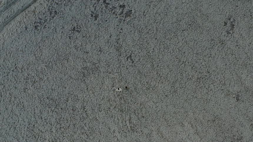 This video provides an extreme highangle static shot of two tiny figures walking together across a uniform textured gray surface resembling a vast salt flat or rugged dry earththe two people appear very small and centralized in the frame emphasizi