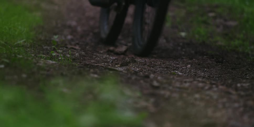 A lowangle closeup shows a bicycles wheels rapidly passing over a dark gravelcovered dirt path surrounded by green foliage suggesting fast movement in a dense natural setting