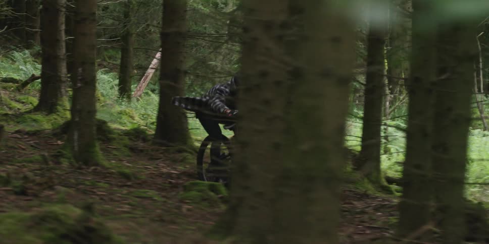 The video shows a mountain biker wearing a helmet and a plaid jacket riding a black fullsuspension bike down a steep mossy slope through a dense forestthe camera remains static as the biker quickly descends and weaves between the tall thin tree tru