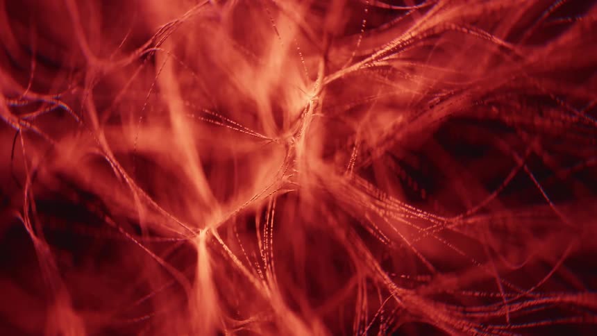 A macro shot reveals a delicate network of Neural particles fibers covered under a red light.