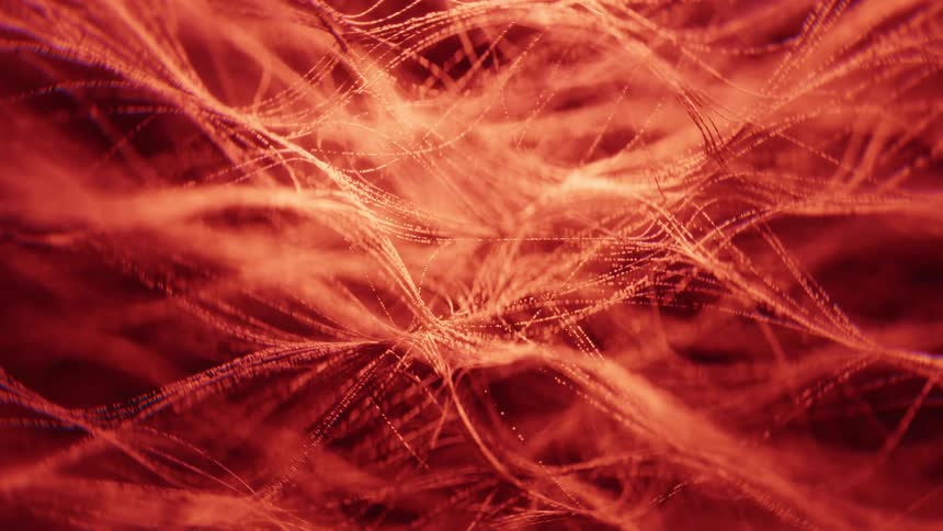 An extreme close-up view of tangled red and orange neural particles fibers, creating an abstract and textured pattern.