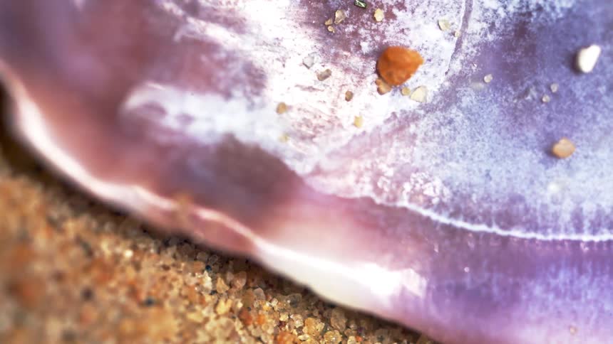 This clip is a macroshot showing a piece of purple shelllike material resting on goldenbrown sand with several small grains of sand or possibly gold nuggets visible on the purple surface