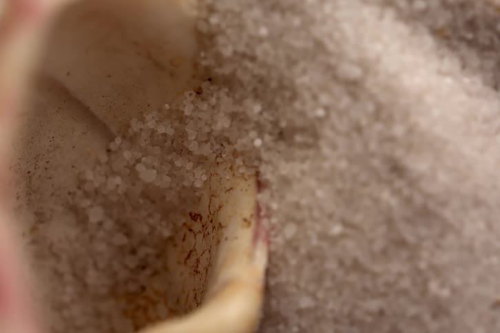 Shell in closeup partially covered by grains of sand