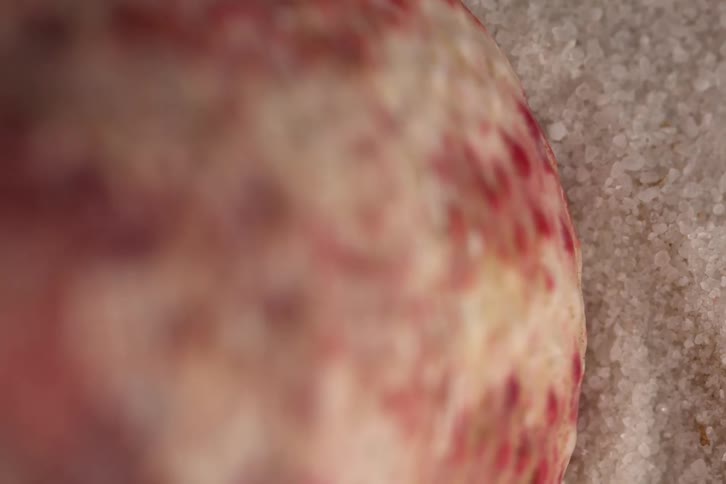Red and white colored object with a textured surface stands on a pale crystal covered surface