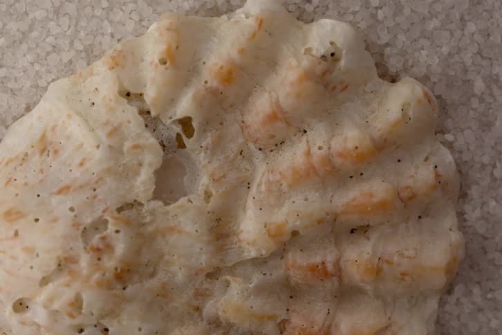 Close up view of a sea shell lying on the sand at the beach