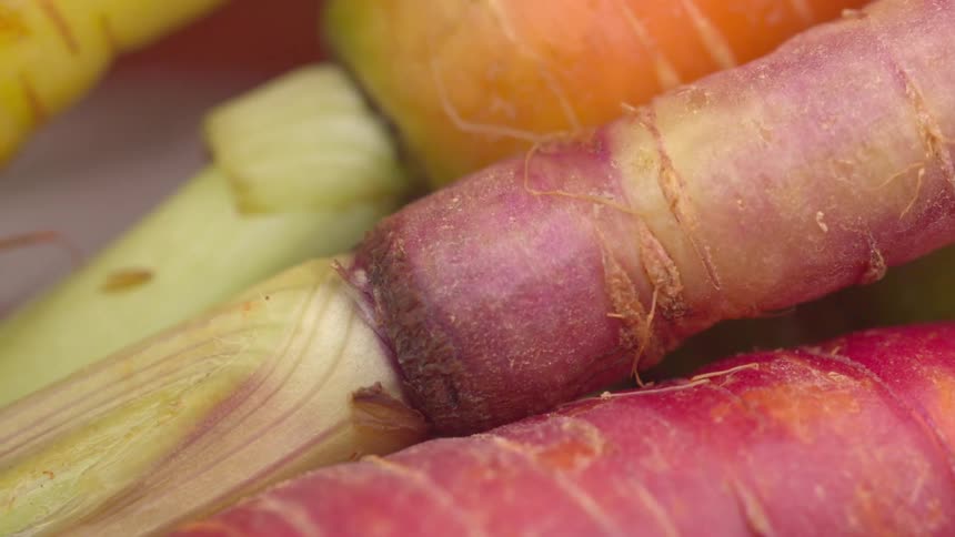 Carrots of different colors appear arranged in closeup