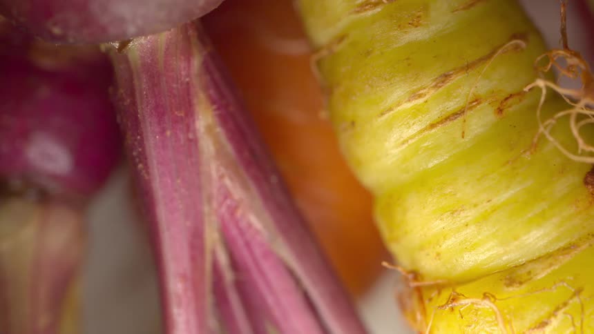 Multicolored carrots appear in closeup with texture details