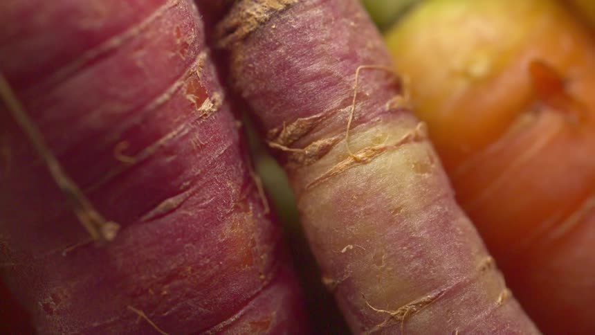 Purple carrots appear in macro with surface details