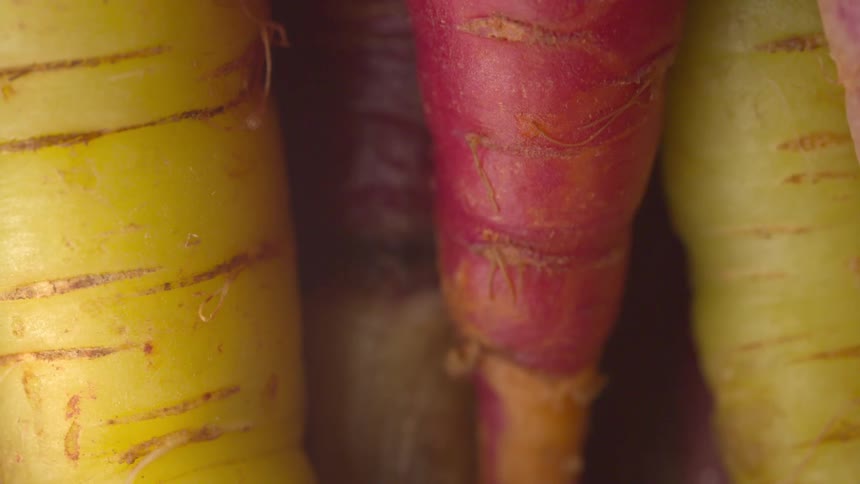 The video shows a closeup static shot of several heirloom carrotsthe carrots are tightly clustered and feature diverse colors including yellow and a reddishpurple hue the shot focuses on the texture and color variations of the vegetable roots